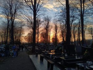 IMG20221030161212