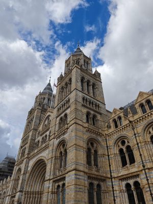 Lon_23