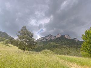 Spi_19