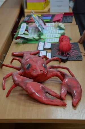 MNN-11