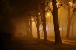 Tajemnicza mgła - Fotografia miesiąca - grudzień