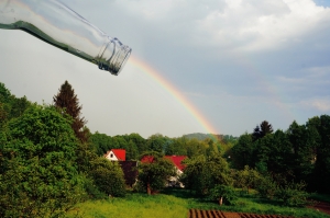 Fotografia miesiąca kwiecień 2019