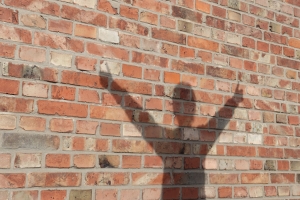 Fotografia miesiąca luty 2021
