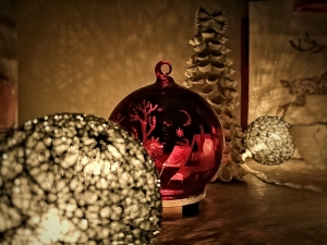 Fotografia miesiąca grudzień 2019