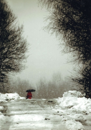 Wyniki konkursu „Fotografia miesiąca”– styczeń pt. „Zimowy sztafaż z akcentem kolorystycznym”