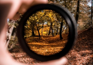 Wyniki konkursu „Fotografia miesiąca”– Listopad pt. „Barwy jesieni”