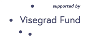 Podsumowanie kolejnej edycji projektu „Generacja V4”