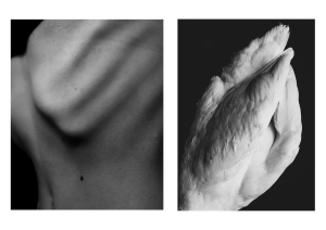 Wyniki konkursu „Fotografia miesiąca” – maj 2023 pt. „W barwach monochromatycznych”