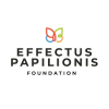 Stypendium Fundacji EFFECTUS PAPILIONIS FOUNDATION