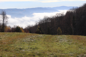 Rajd w Beskid Sądecki