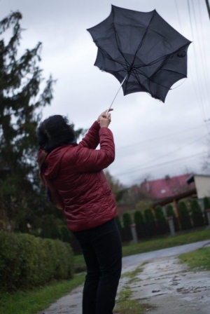 Wyniki konkursu „Fotografia miesiąca” – październik pt. „Powiew wiatru”