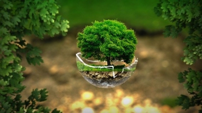5 czerwca - Światowy Dzień Ochrony Środowiska